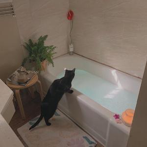 杨颖大胸被揉到高潮下不了床
